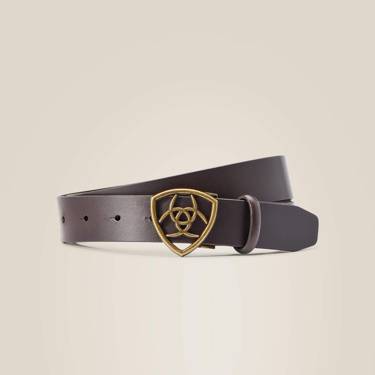The Shield Belt - US 2207