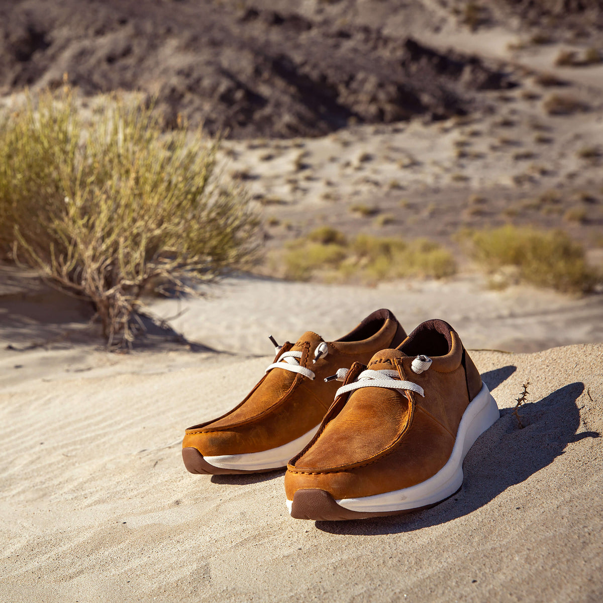 Buckeye Waterproof Shoe - US 6469