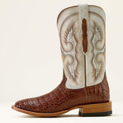 WHISKEY CAIMAN BELLY|WARM TAUPE
