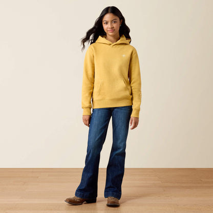 Ariat 2.0 Hoodie - US 1469